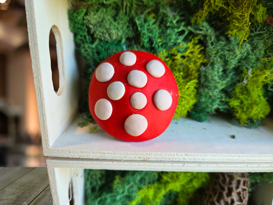 amanita muscaria